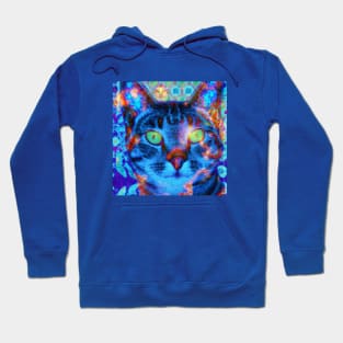 Blue Kitty Cat Batik Pattern Hoodie